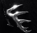 Whitetail Antler Brim Clip-Solid Cast Bronze